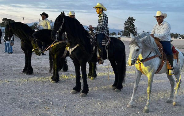 CABALGATA FAMILIAR